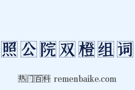 照公院双橙组词是什么意思的图片